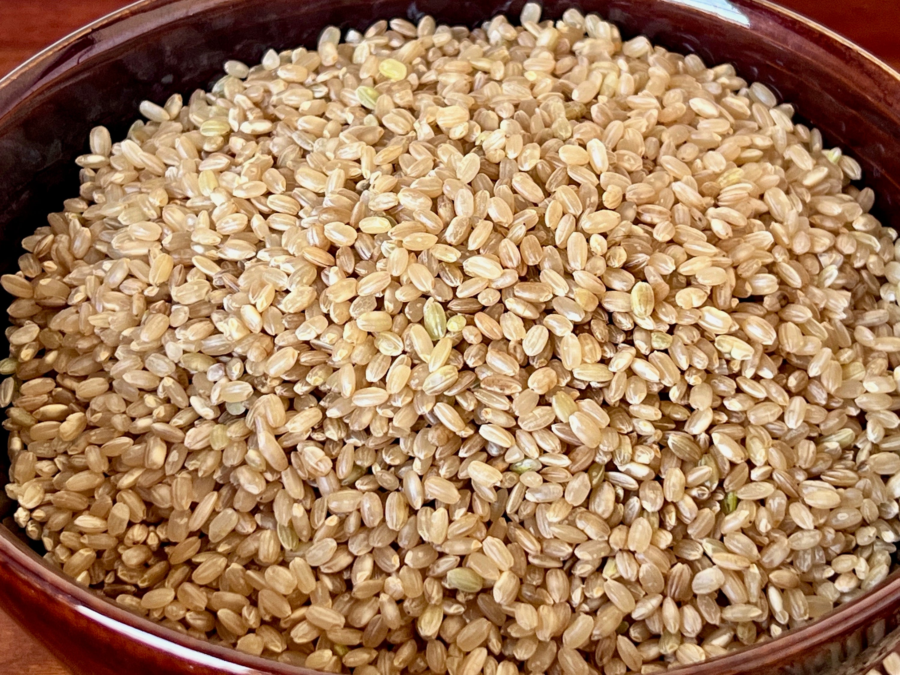Boundbrook Farm Vermont Short Grain Brown Rice