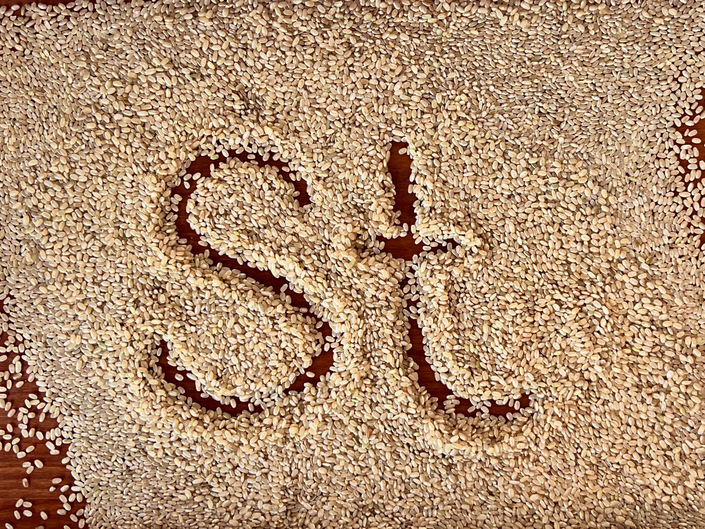 Boundbrook Farm Vermont Short Grain Brown Rice