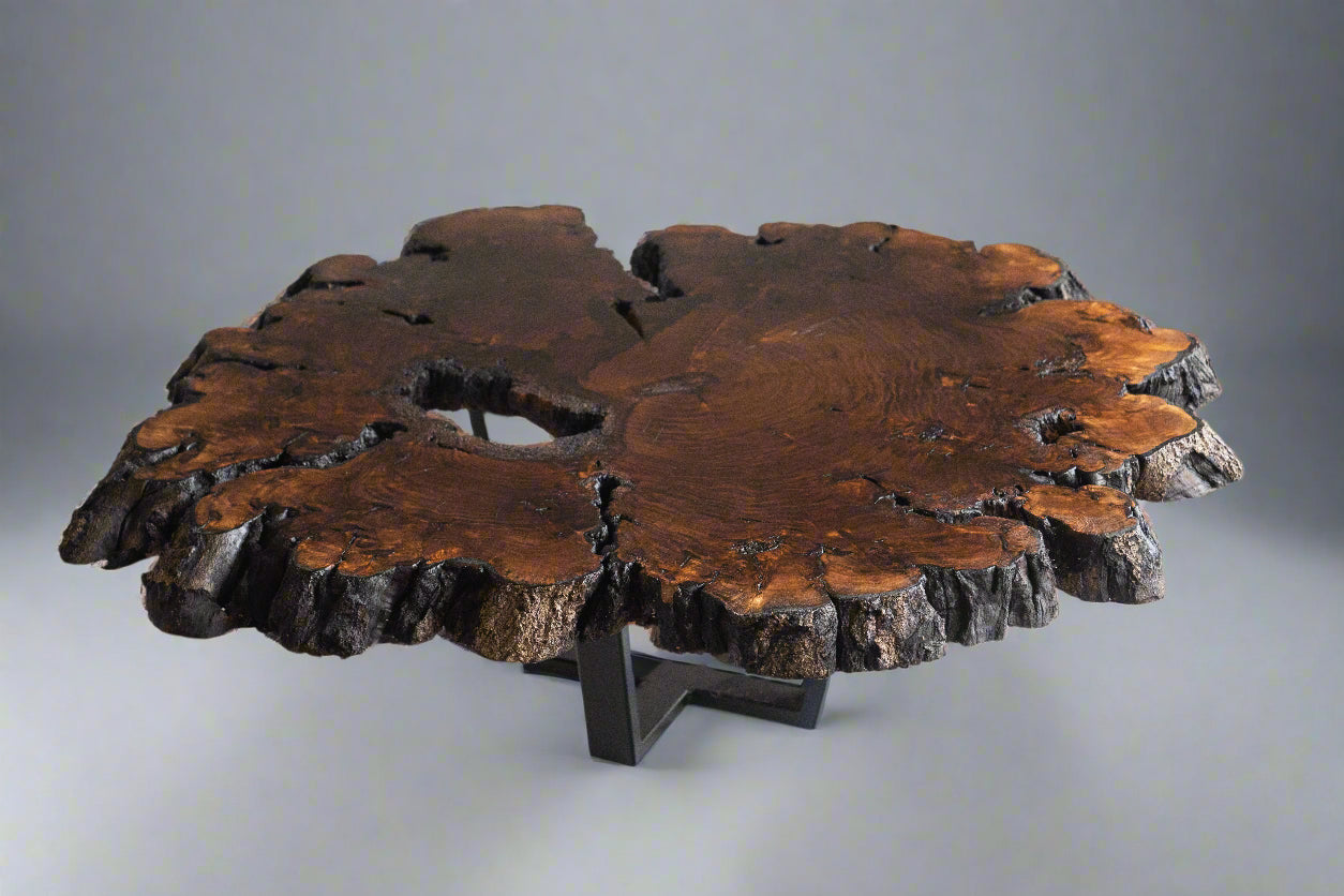 Butternut Burl Slab Coffee Table With Metal Base