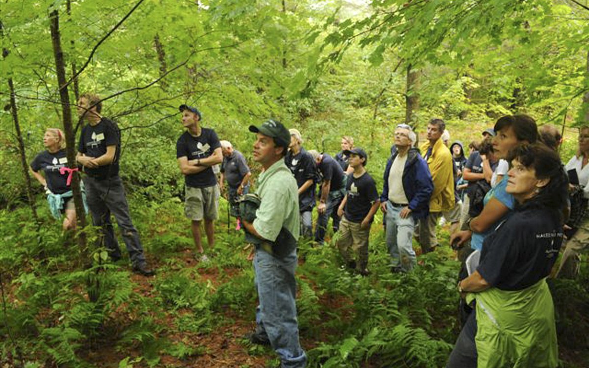 NAKED BENCH - ShackletonThomas