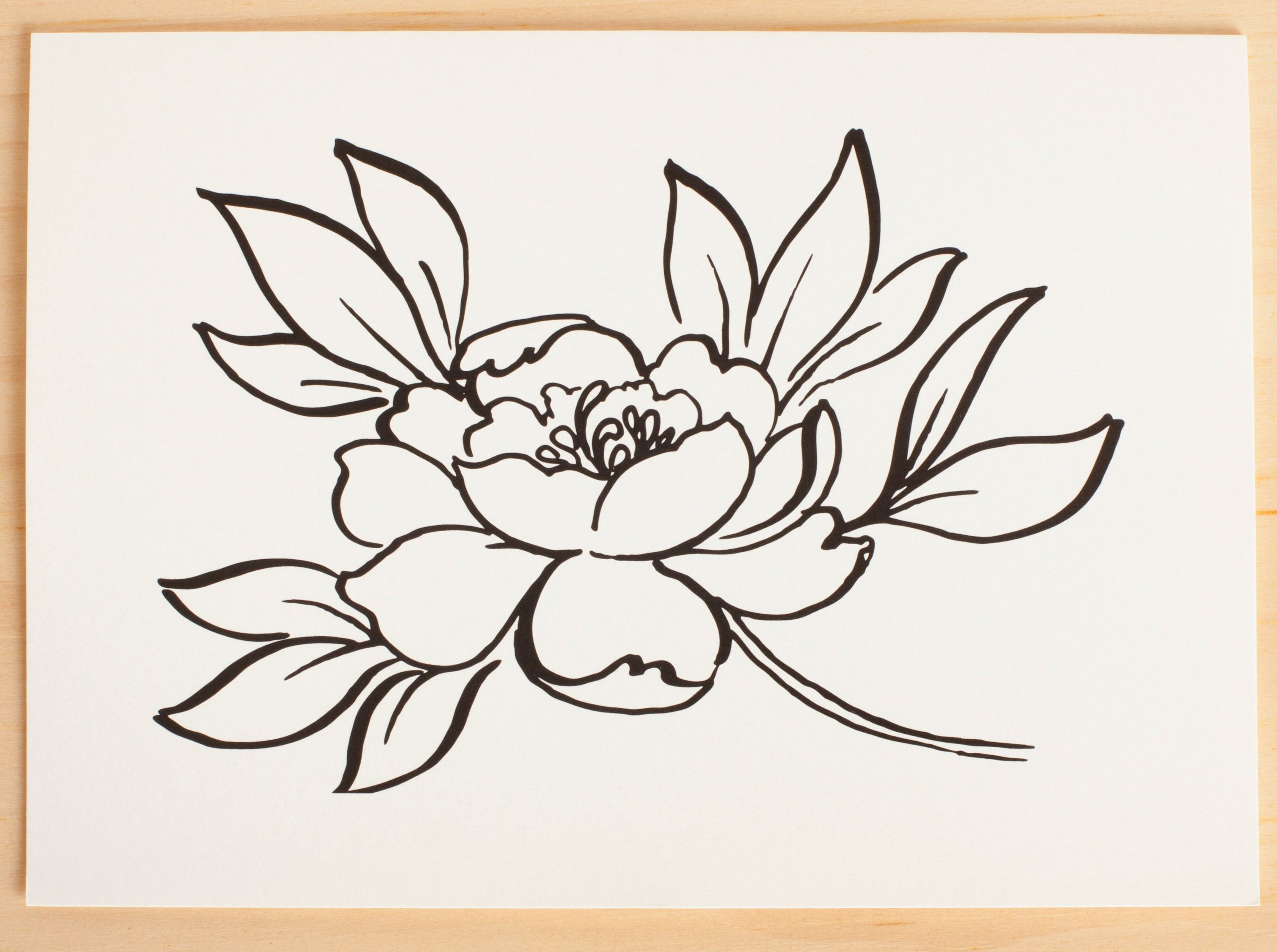 Note Cards by Miranda Thomas