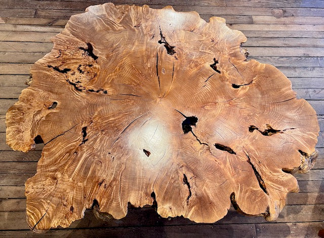 Big Leaf Maple Burl Coffee Table
