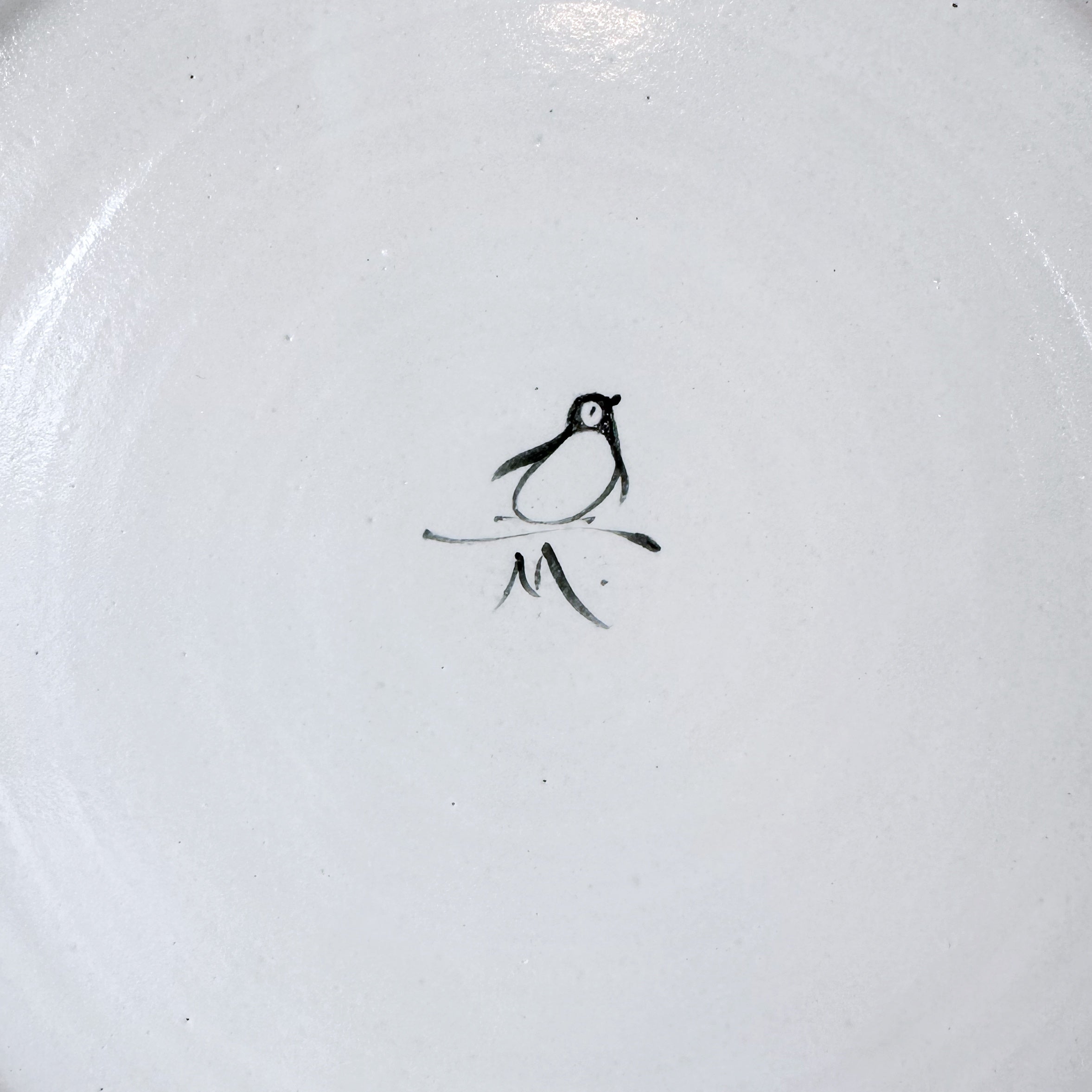 Platter with a Waddle of Penguins and Albatross