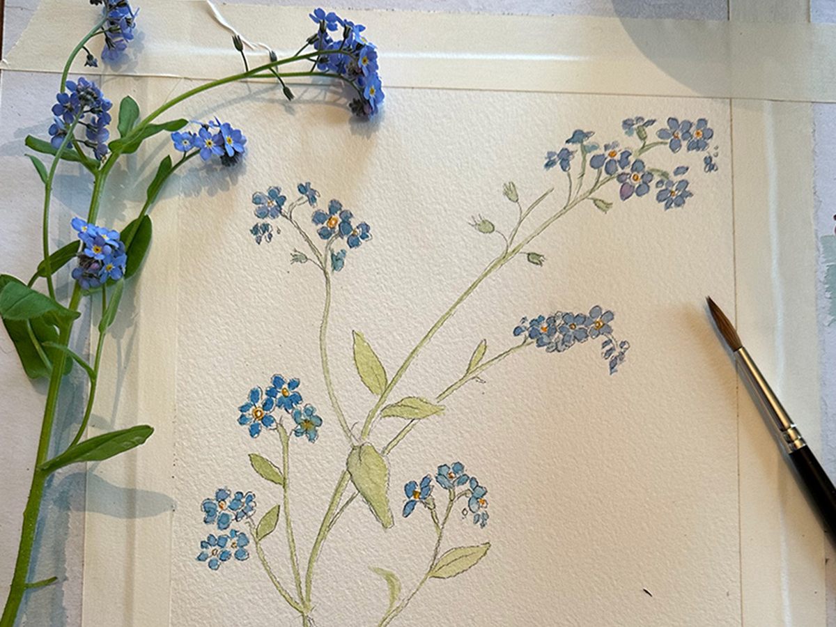 watercolor of forget-me-nots