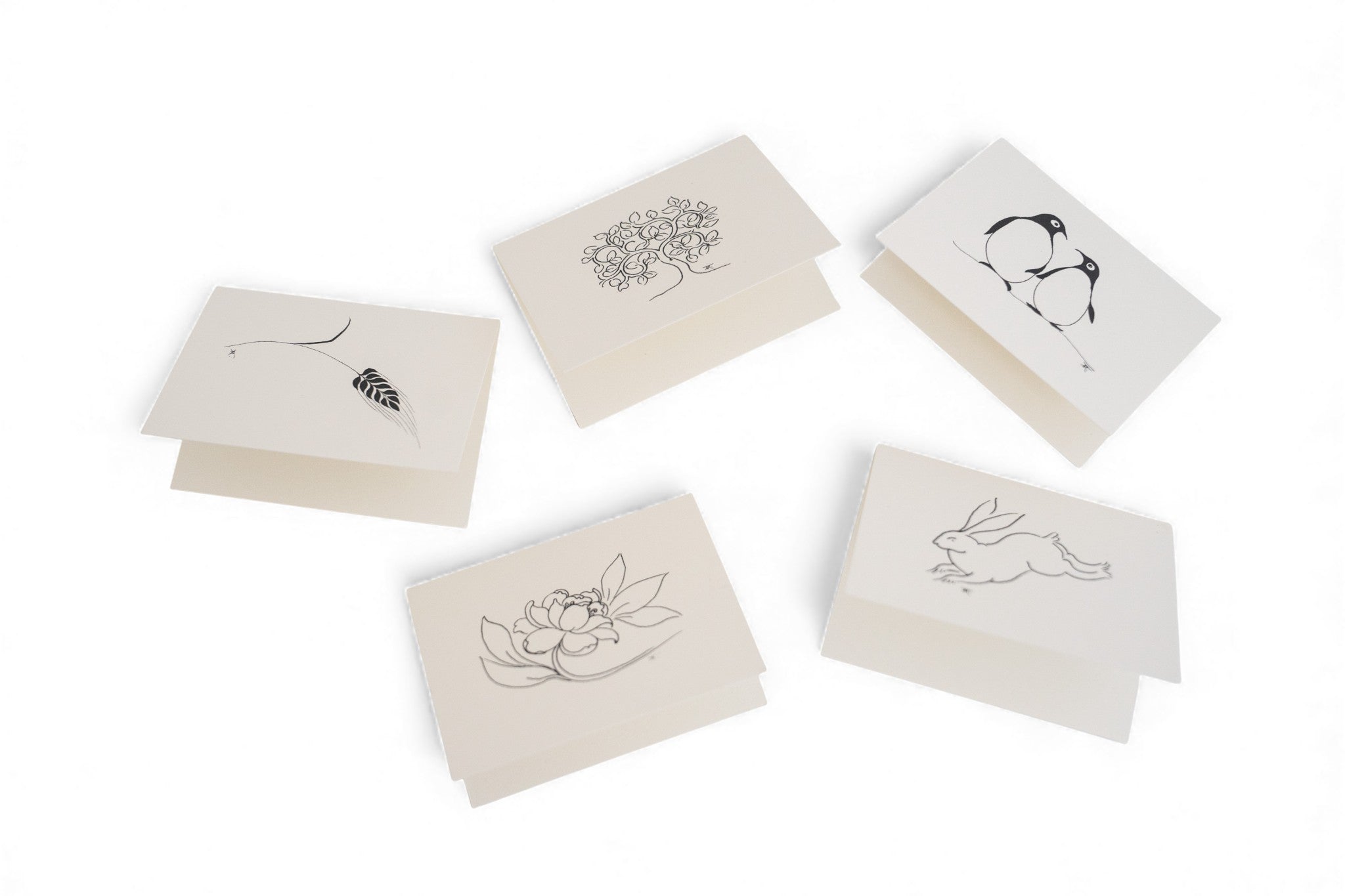 Gift Wrapping + Personalized Gift Enclosure