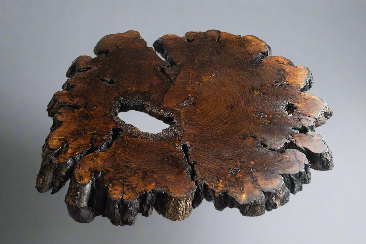 Butternut Burl Slab Coffee Table With Metal Base