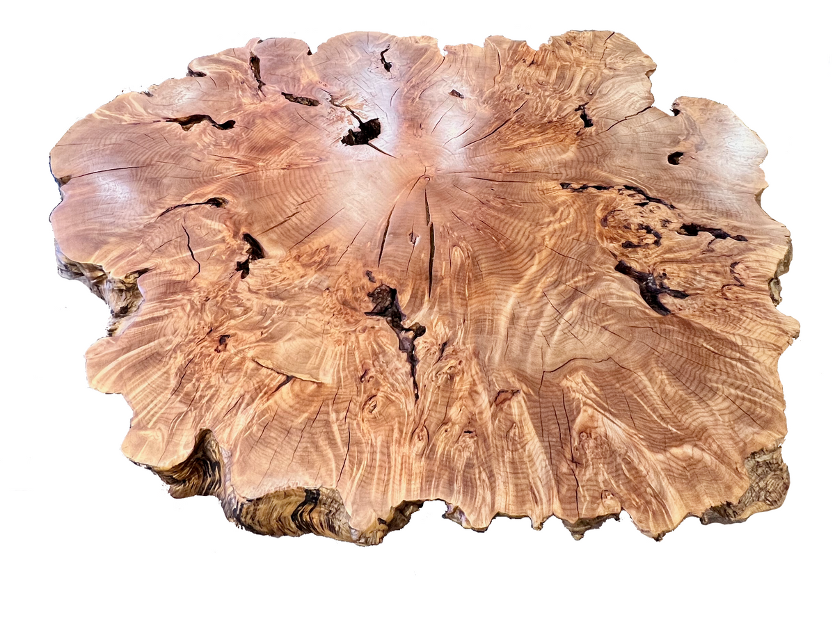 Big Leaf Maple Burl Coffee Table