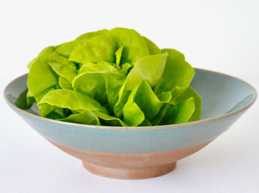 Devonshire Salad Bowl
